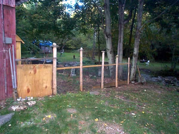Dog Fence