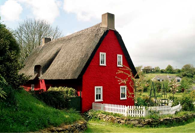 Thatched Roof House